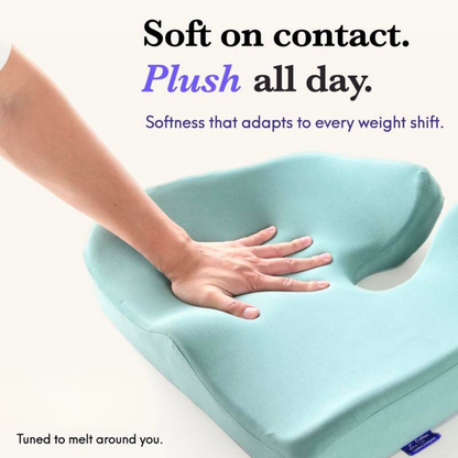 ComfortCloud Cushion